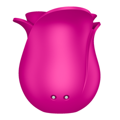 Satisfyer Pro 2 Modern Blossom – Succionador de Clítoris